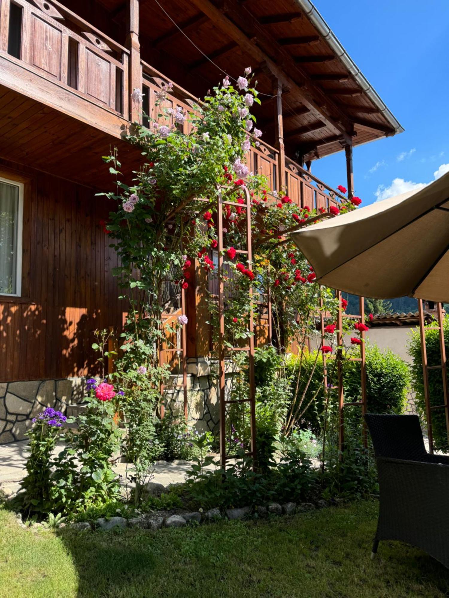Guest House Roden Dom Koprivshtitsa Buitenkant foto
